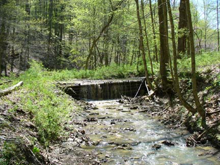 Where to Find Gold in Rivers Creeks Streams Prospecting Panning