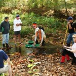 gold panning