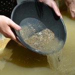 gold nugget panning