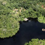 jungle gold prospecting